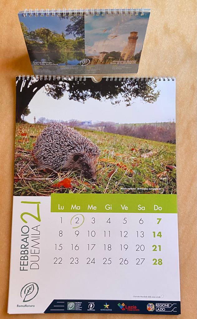 EnteRomaNatura's tweet photo. Ecco a voi il calendario 2021 dell’Ente Regionale RomaNatura,16 Parchi terrestri ed un Area Marina Protetta ,365 giorni di Biodiversità➡️https://t.co/J8Ma9GToq9 https://t.co/9vKuuOWCem