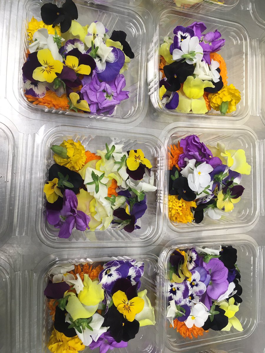 Herbs Unlimited HerbsUnlimited , Twitter Profile