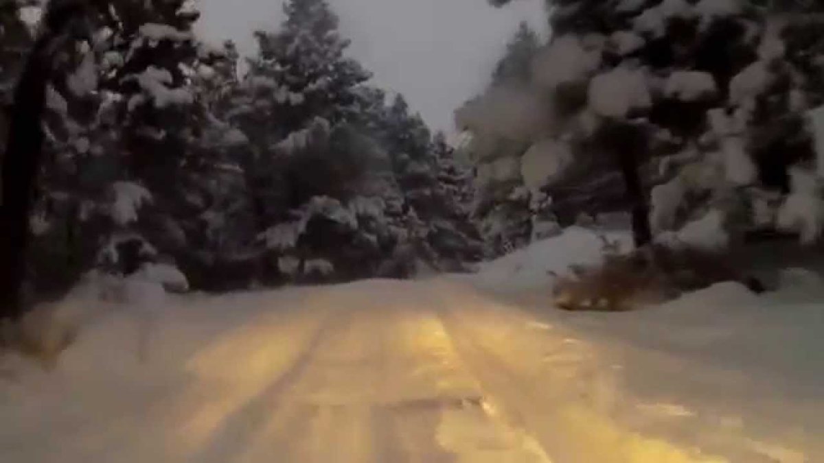 Elisa Elisaversailles Twitter