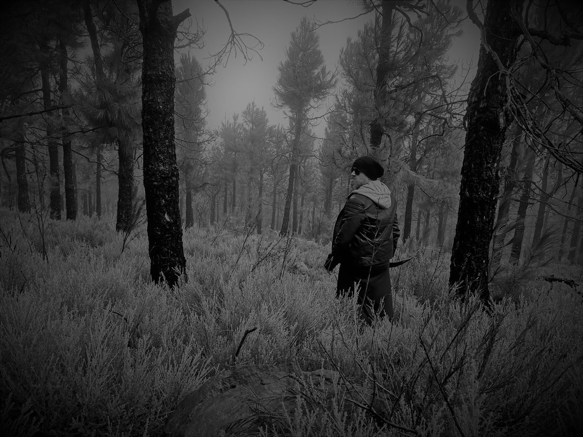 WikingWings's tweet photo. ➠Strange Sounds Hidden in the Forest Mist
➠𝕹𝖎𝖋𝖑𝖍𝖊𝖎𝖒 𝕸𝖎𝖘𝖙 https://t.co/mA5j98cAyP #Dark #Ambient #Soundscapes #Vikings #Landscape https://t.co/SAXUyrWHn1