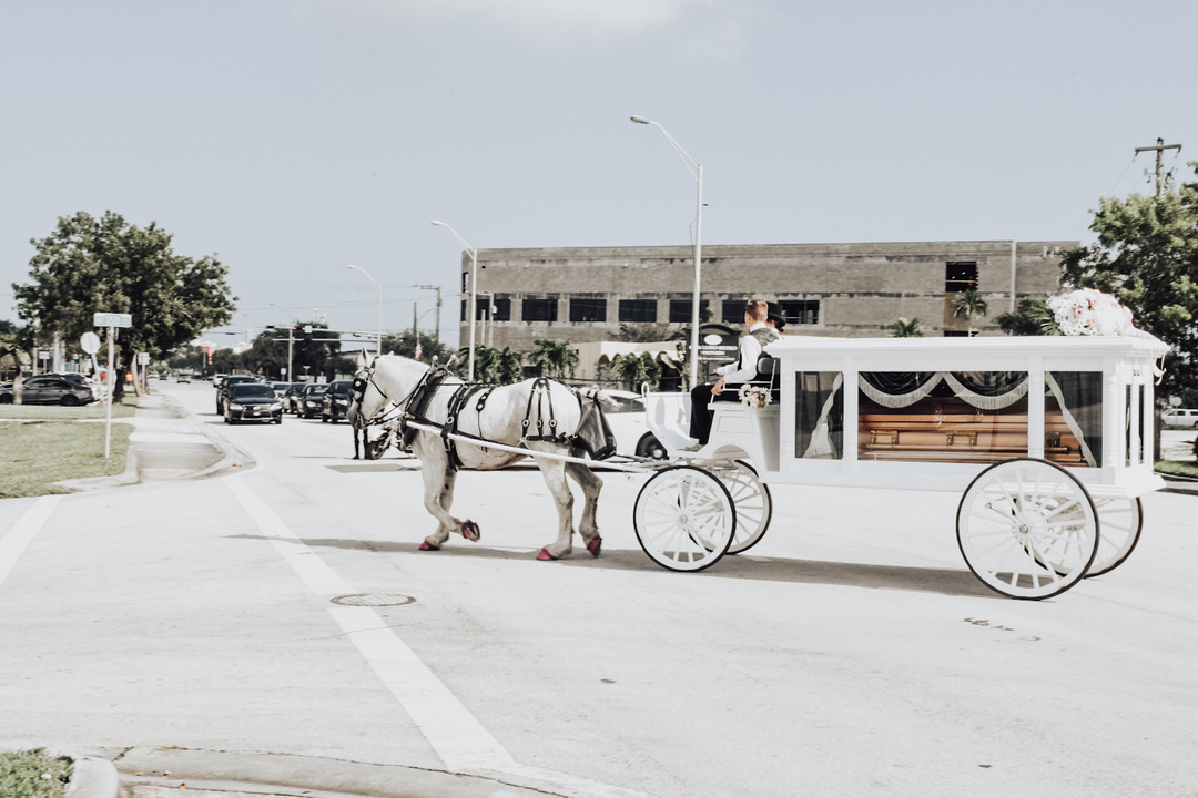 Horse drawn carriage in a GOLD casket is how we all deserve to go. Planning ahead always makes it simple. Don't wait last minute for something to happen and not be prepared. #stfortsfuneralhome #funeralservice #cremations #burials #caskets #flowers #limousineservice #cateringserv