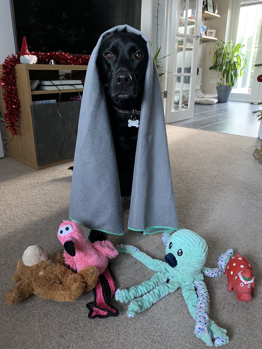 A nativity recreation (a thread)  #Christmas2020  #TheFirstChristmas In the hills and fields outside Bethlehem, shepherds looked after their sheep through the long night.