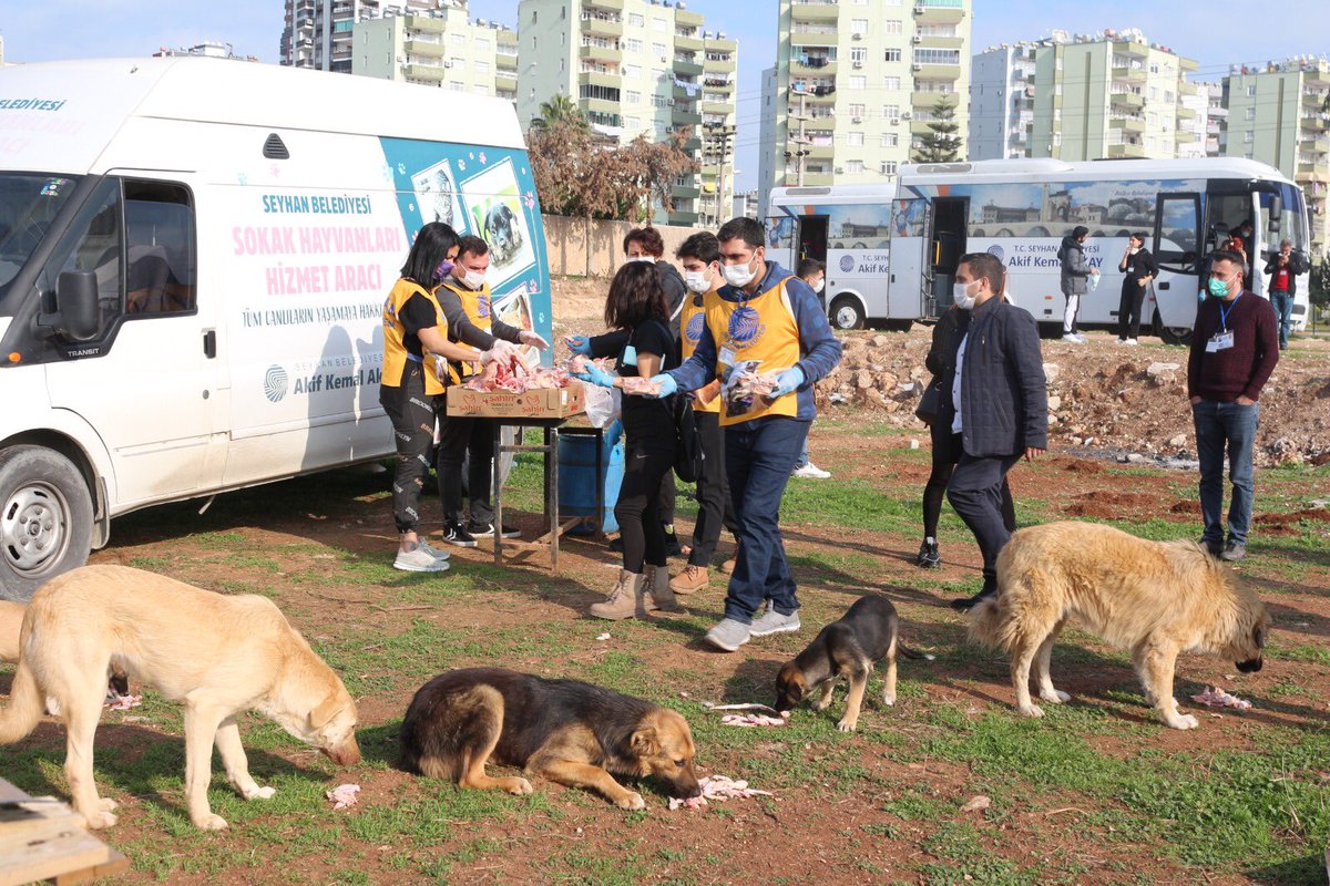 Seyhan’da hiç bir canlı yalnız değil 😻🐶🕊🦢

Sokak hayvanlarını besleme etkinliği çağrımızı karşılıksız bırakmayan tüm hayvanseverlere teşekkür ediyoruz 🙏🏻
