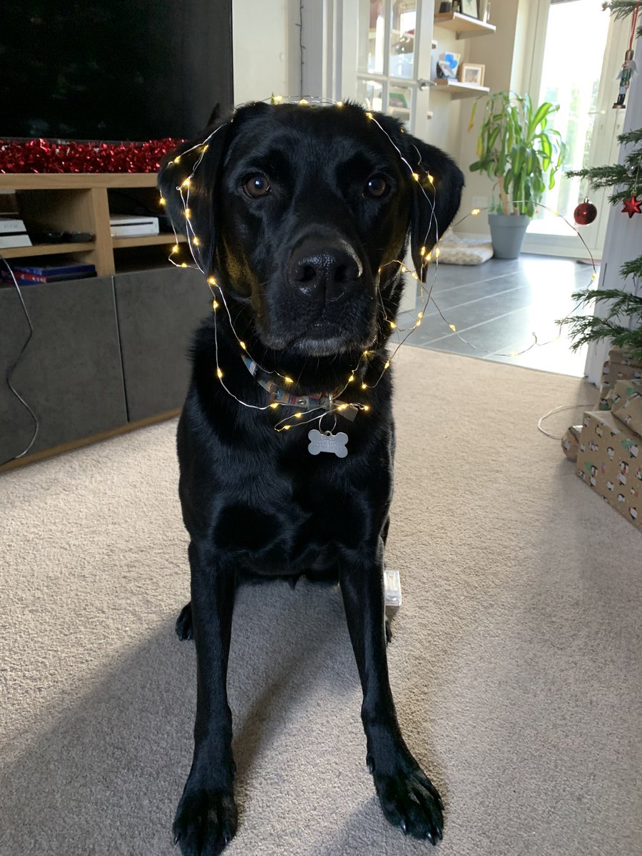 As the new day began, suddenly an angel appeared before them and the glory of God shone around them. The shepherds were very, very scared, but the angel said, 'Don't be afraid. I have good news for you and everyone. Today in Bethlehem a Saviour has been born for you.