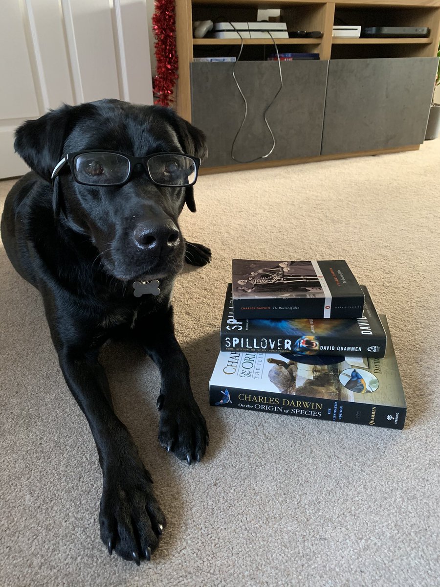 Some Wise Men in faraway countries saw the star and guessed what it meant. They were very clever men that studied the stars and had read in very old writings that a new star would appear when a great king was born. They set out to find the new king and bring him gifts.