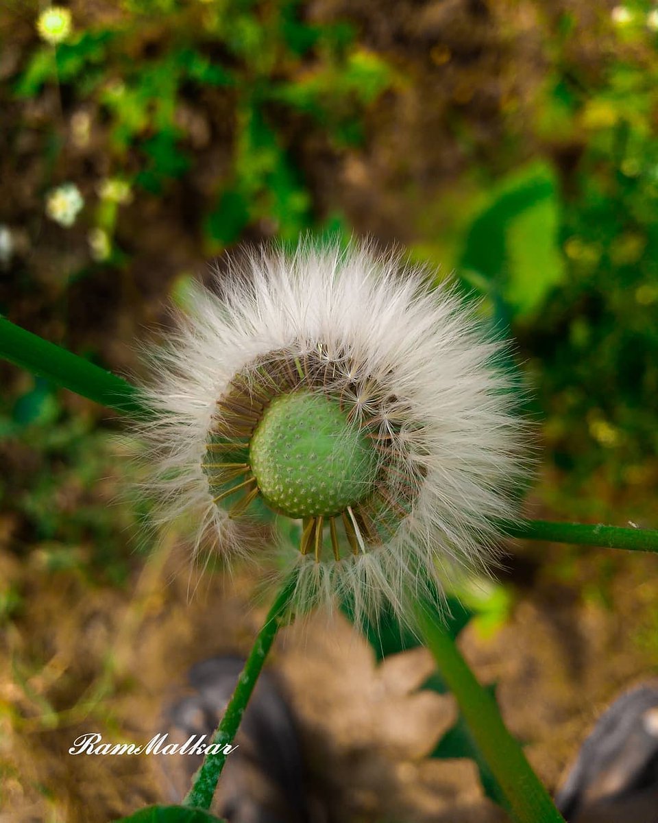 clickforfameol's tweet photo. Clicked by-   https://t.co/7mU2p3X6Le
.
.
Use #clickforfame for feature.
#photographer #photography  #photoshoot #photographypassion #travelphotography #photographyworld #likeforfollow #followforfollow #likeforlike #like4like #like4follow #likeforlikeback #follow4follow https://t.co/vxeBZLrFXb