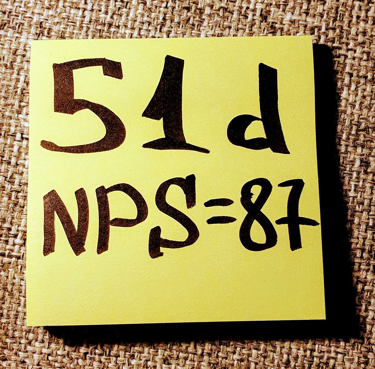 Anton Zotin tweet media