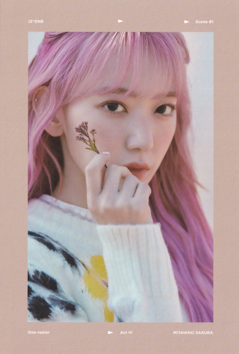 One-reeler Act IV mini 4th Cover Postcard Movie Series Scan #宮脇