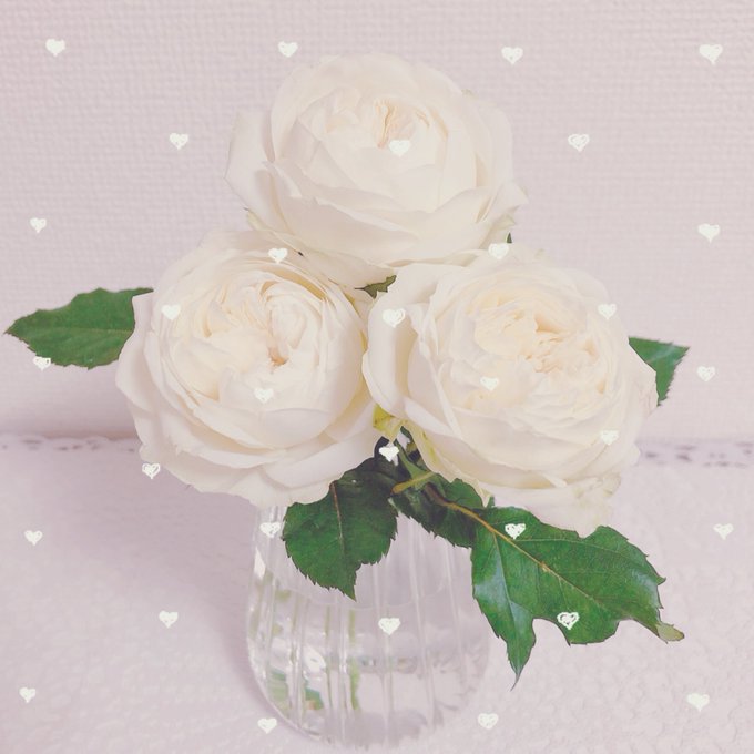 薔薇絵のtwitterイラスト検索結果 薔薇絵のtwitterイラスト検索結果