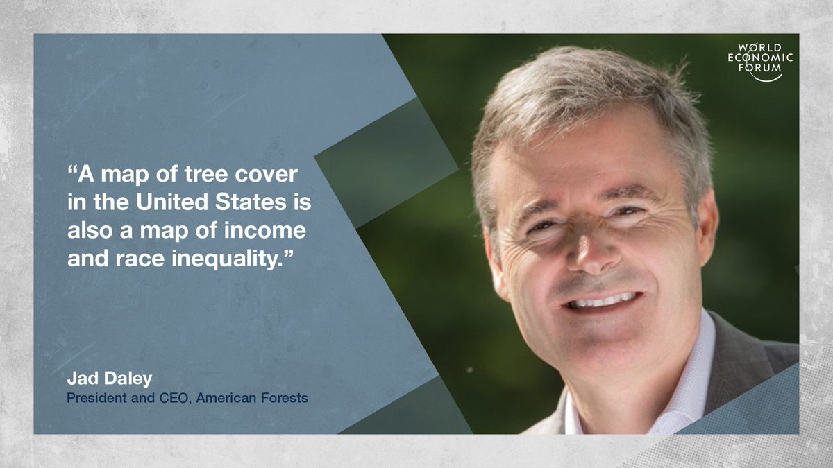 How mapping trees in America's cities could fight inequality and slow climate change wef.ch/37y0eII <a href="/AmericanForests/">American Forests</a> <a href="/1t_org/">1t.org</a>