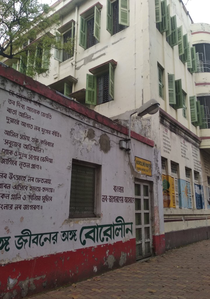 The Boroline House :