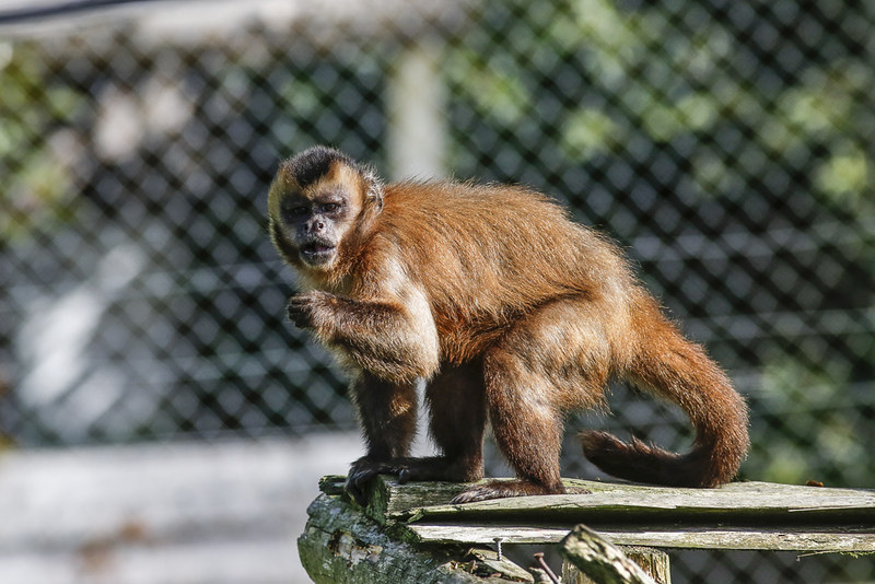 We are open until Monday so tomorrow (Sunday) is your LAST chance to visit before Christmas!! We will be open again on the 3rd January! secretvalley.ie #VisitWexford #Wexford
