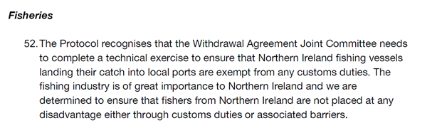 the default under the Protocol was that customs duties were due. A ‘technical exercise’ had therefore to be completed by the Joint Committee “to ensure that Northern Ireland fishing vessels landing their catch into local ports are exempt from any customs duties”6/