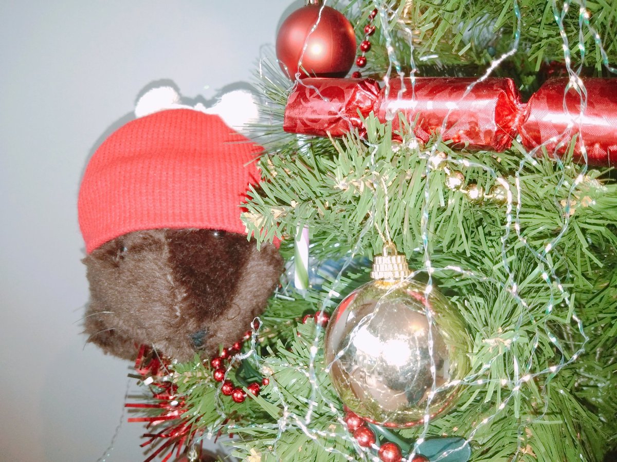 Have you got your decorations up? Don't forget to join in with <a href="/CitizenZoo/">Citizen Zoo</a>'s #advent Hogsmill #River countdown to #Christmas