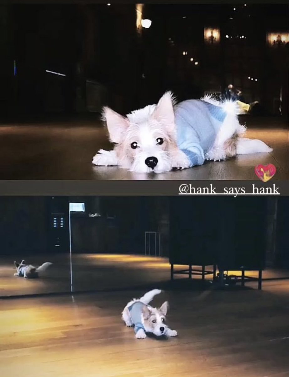 thuytrangg_h's tweet photo. HS1 IS COMING 
#HANK @BLACKPINK https://t.co/tap0cqzvX8