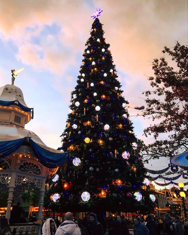 Cave0fWonders's tweet photo. 🎄 Ô Christmas Tree 💫 🎄

#disneyparks #DisneylandParis #disneyXmas https://t.co/M0bP1tKx3q