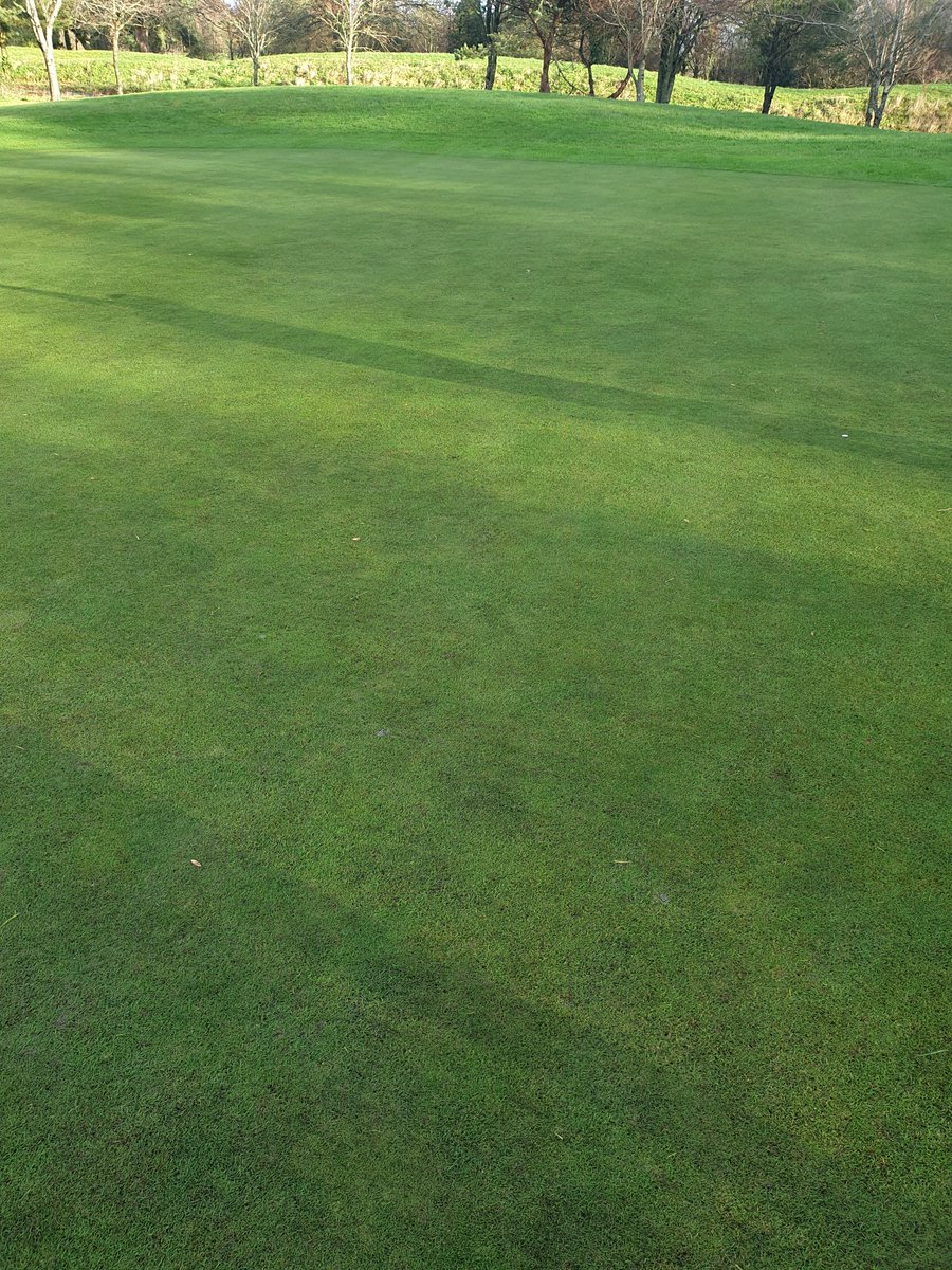 Had a great day at @CottrellParkLtd today, barely a blemish on the greens after all the rain this week. Unbelievable condition for a parkland course this time of year. Proper club