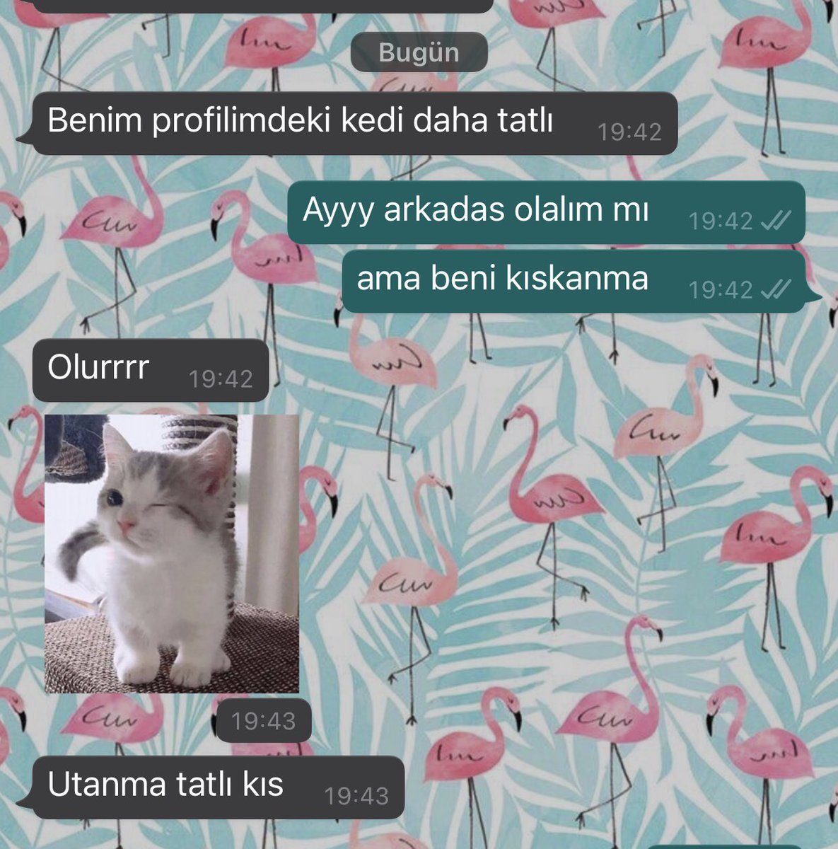 kaliteli sohbet oluyor @sedeffozt