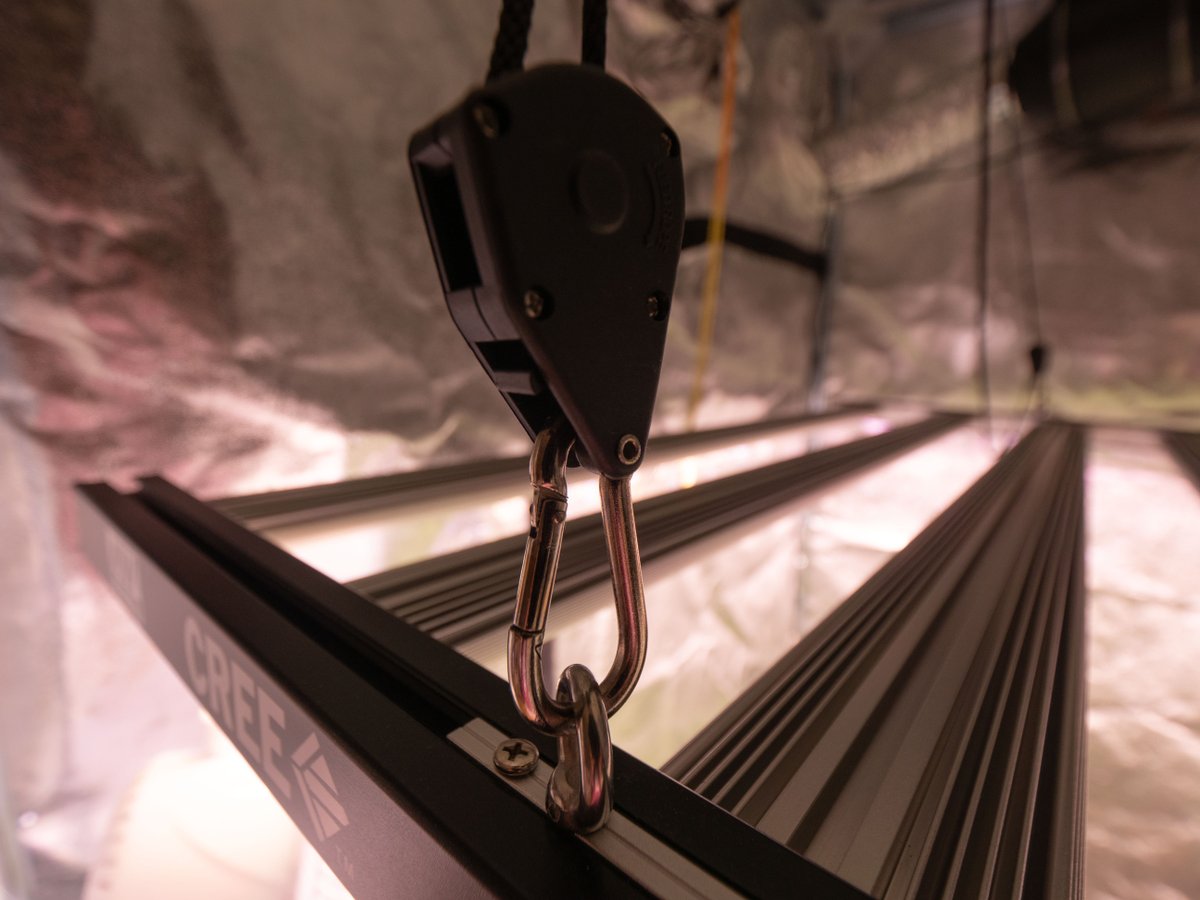 WGREGO202's tweet photo. All of our lights at Optic Led come with free high quality adjustable rope ratchet hangers making it easy for you to hang and adjust your lights. 

#teamoptic #blackfridaysale #LEDblackfriday #opticled #Dimmable #WeStackNodes #HighTimes #horticulture #NextGen #ledgrower https://t.co/lpo5y8abDY