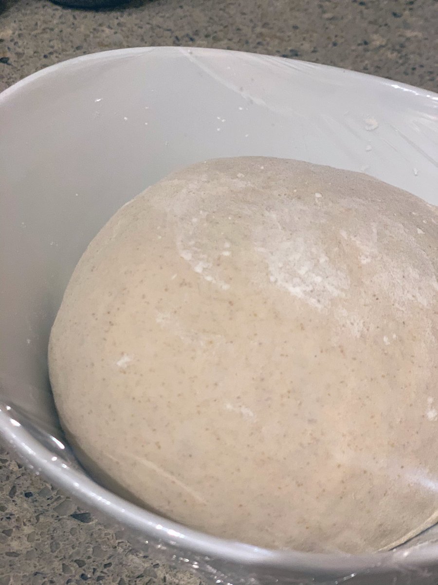 grainflow's tweet image. Just wanted to show you all the dough during bulk fermentation. Loaf images coming soon.