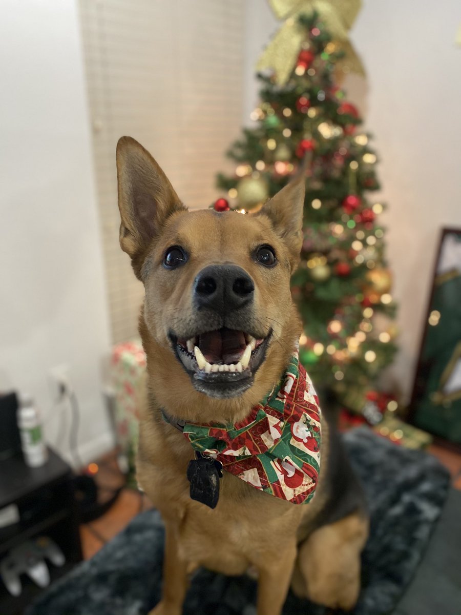 kenack2's tweet image. This face would look pretty dang cute on a beer can! #Pupweiser