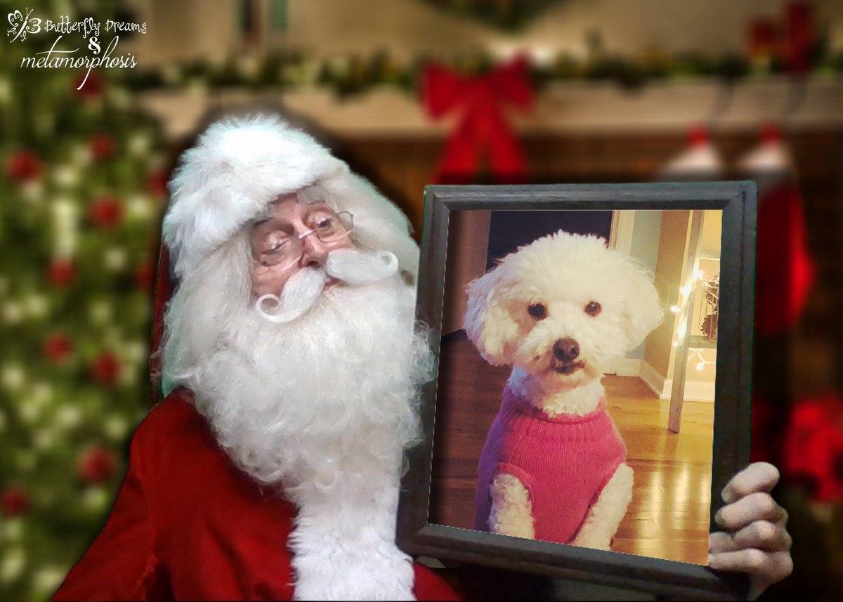 BflyDreamsParty's tweet photo. Introducing our Digital Photos with Santa! Contact us for more information on how to add some magic to your little one’s holiday season! #PhotosWithSanta #Christmas #ChristmasCard #HolidayPhotos https://t.co/E2ZZ6yT338