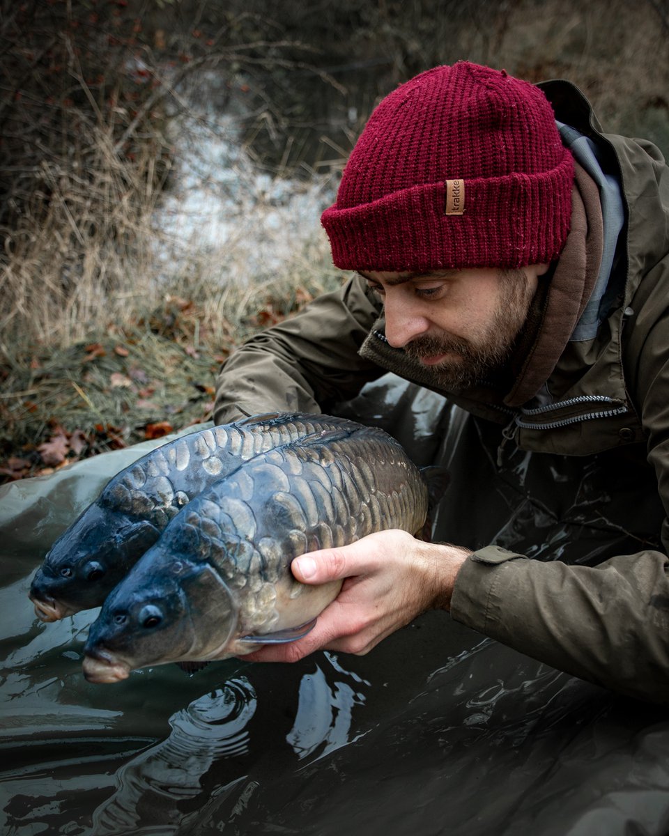 Trakker_Carp's tweet photo. A few for the future.

Check out these two belters being stocked by our very own Gaz hood. 
 
Can you imagine catching these when they are 30 pounds!

#Trakker #TeamTrakker #TrakkerCarp #TrakkerProducts #Carp #Fishing #Angling #CarpFishing #CarpAngling #CarpPassion #CarpFever https://t.co/5HFJCh8GIR