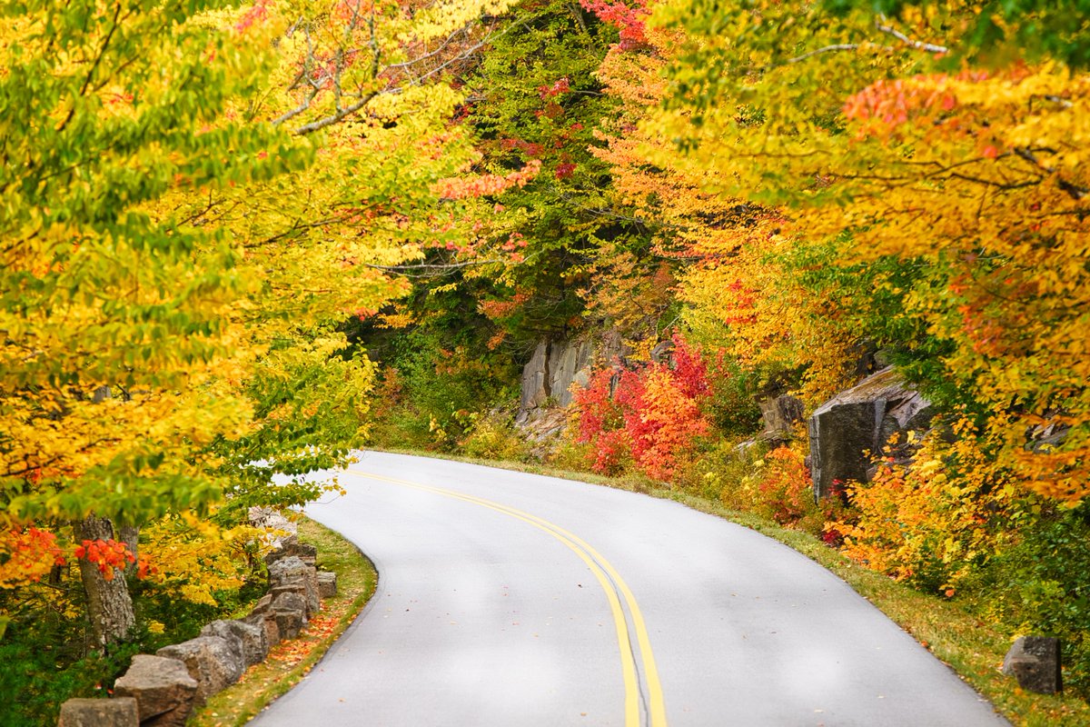 Park Loop Road, Acadia - Shot from 2019 fall trip to Acadia. #beforecorona #acadia