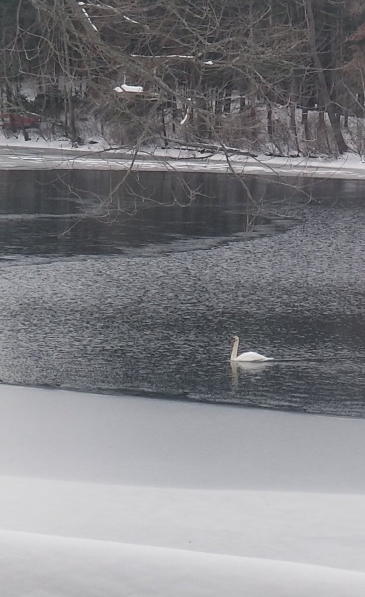 Solitude of Winter