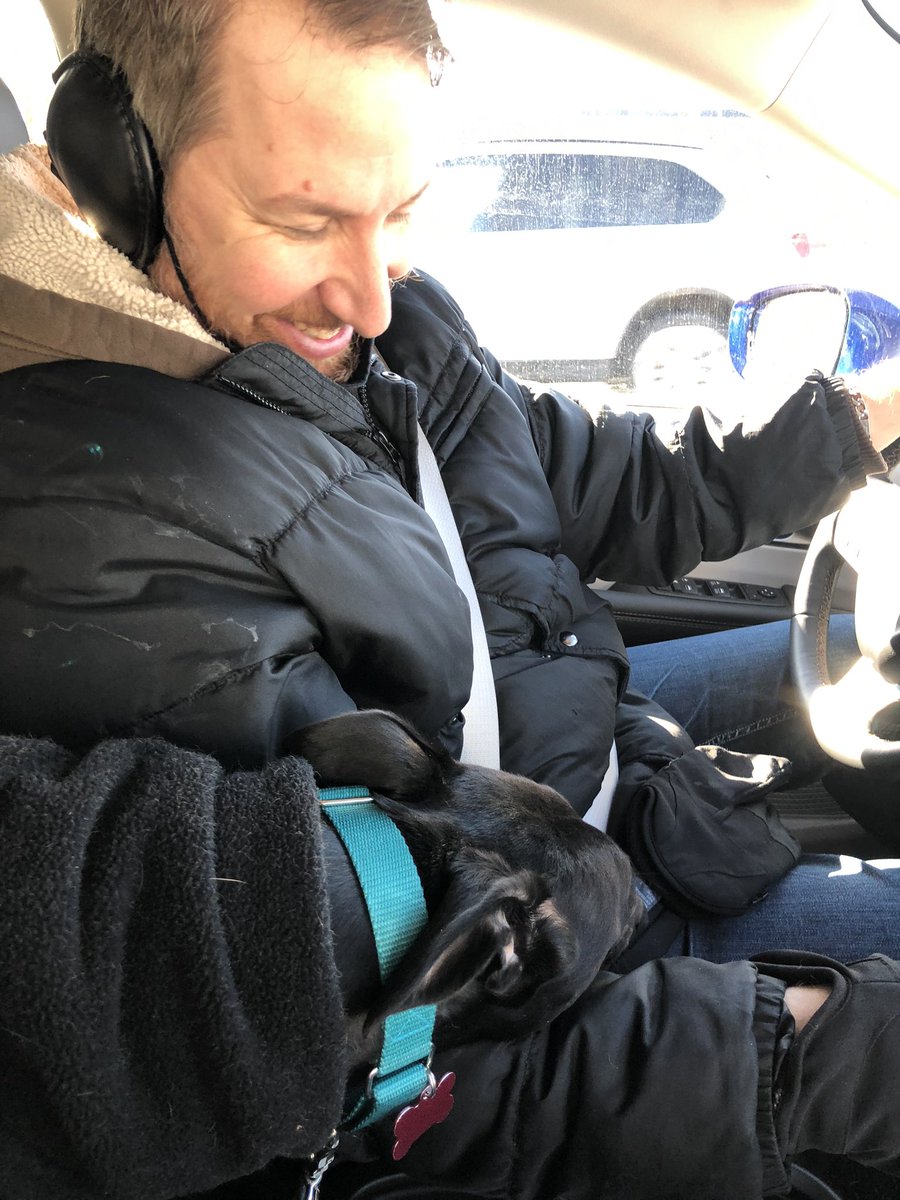 HeavyCardboard's tweet photo. Morning drive to the dog park with Lincoln. They say dogs look like their owners. I don’t know. He gets his sweetness from me though. That’s him resting his head on my arm as we drive in the last picture. https://t.co/malSRSBgnv