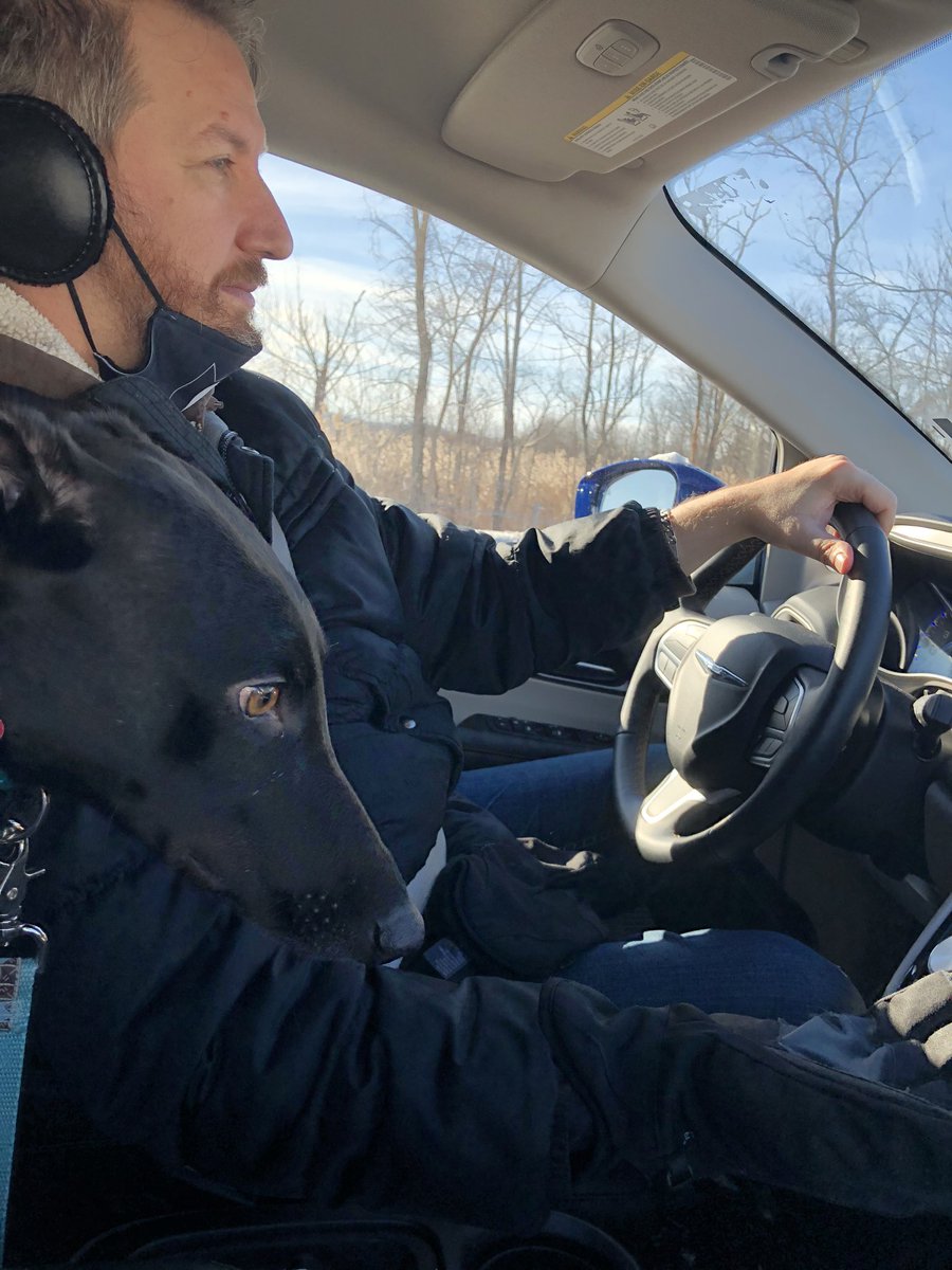 HeavyCardboard's tweet photo. Morning drive to the dog park with Lincoln. They say dogs look like their owners. I don’t know. He gets his sweetness from me though. That’s him resting his head on my arm as we drive in the last picture. https://t.co/malSRSBgnv