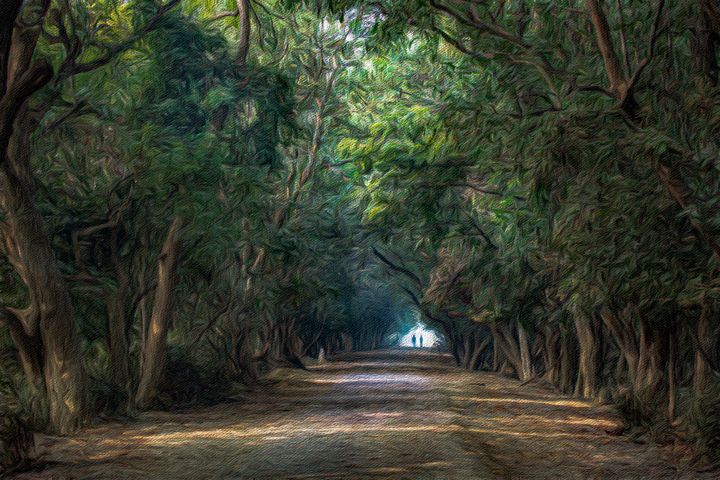Worthycanvas's tweet photo. Featured Art of the Day: "Walk in the Woods". Buy it at: https://t.co/0C65AUx2Ej https://t.co/b9eiaGvSYr