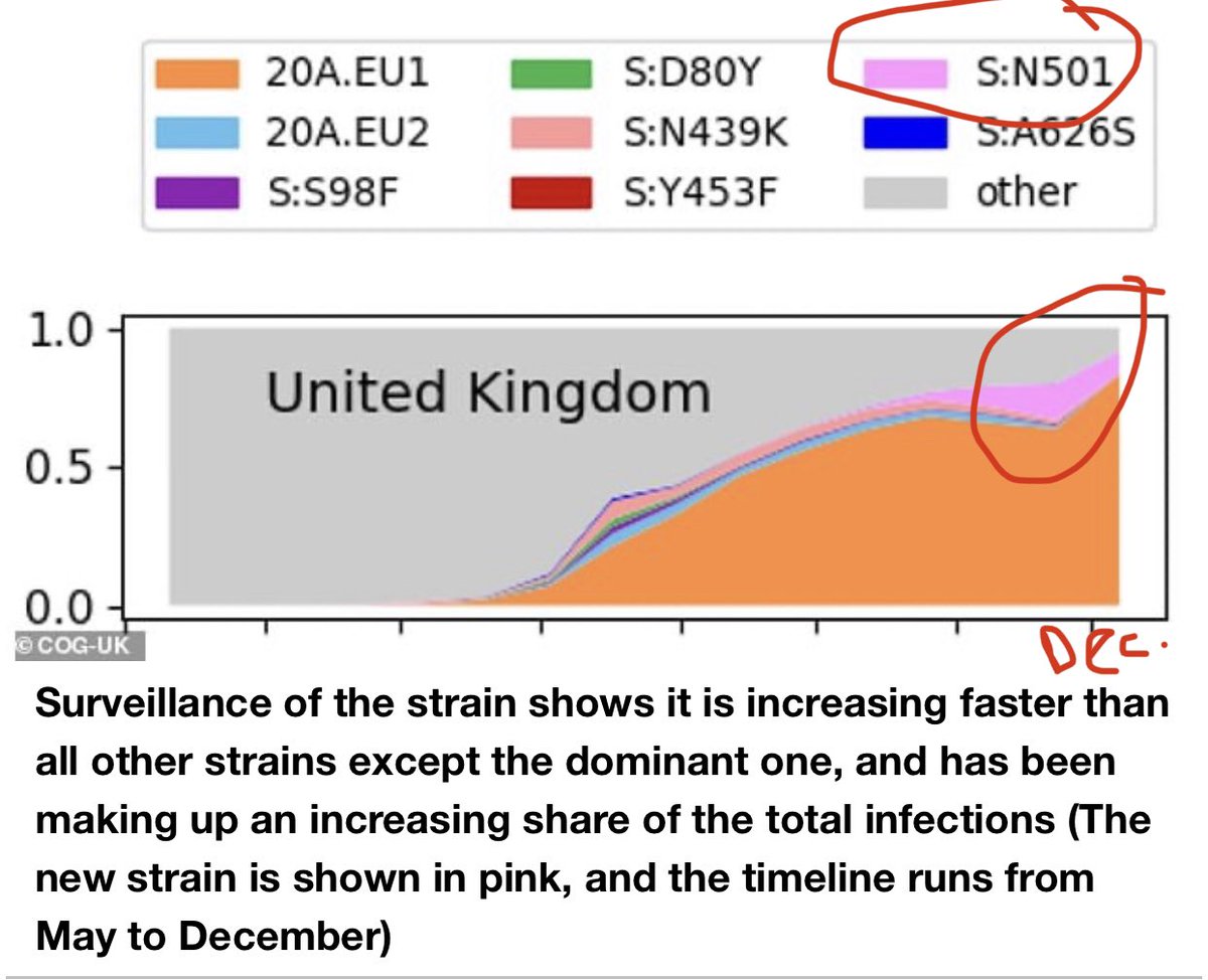 11) Most of the time harmless but this one is become to slowly dominate more and more of the total fraction of cases. See pink — it’s been slowly emerging for several months, to now becoming the 2nd most dominate in UK from nothing.