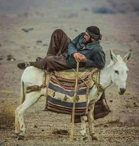 MuhammadAli650's tweet photo. کرتے تھے۔مگر اب صورت حال اس کے بلکل برعکس ہے ۔اور اب وہ لوگ یہ بتاتے پھر رہے ہیں کہ ہمارا لیڈر ہمیں مدینہ کی ریاست دیکھاے گا.. https://t.co/8BxEEX0a85