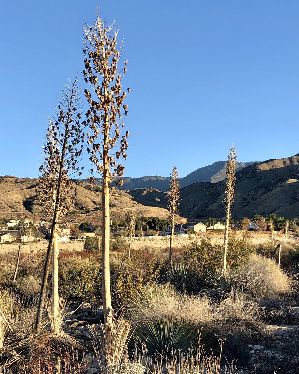 jmalet's tweet photo. I’m doing a winter break running challenge. My goal is to run at least 5 miles a day through January 3. Today, I started it off with a 10-miler.
#runningmotivation #running #runningismytherapy #runningcommunity #runhappy #monitorthebeat #saturdayvibes #saturdaymotivation https://t.co/ea82P4d2Ml