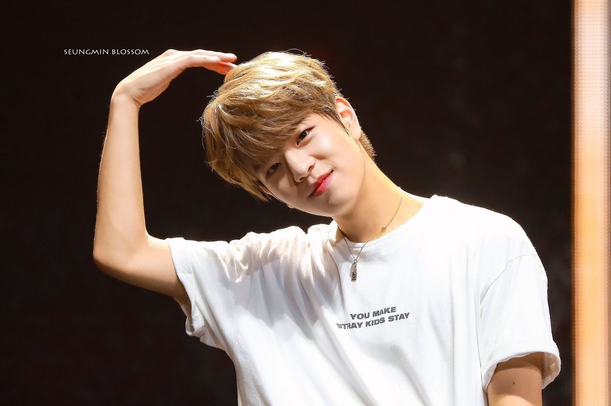 ---kim seungmin at concerts; a thread of pics taken by fans