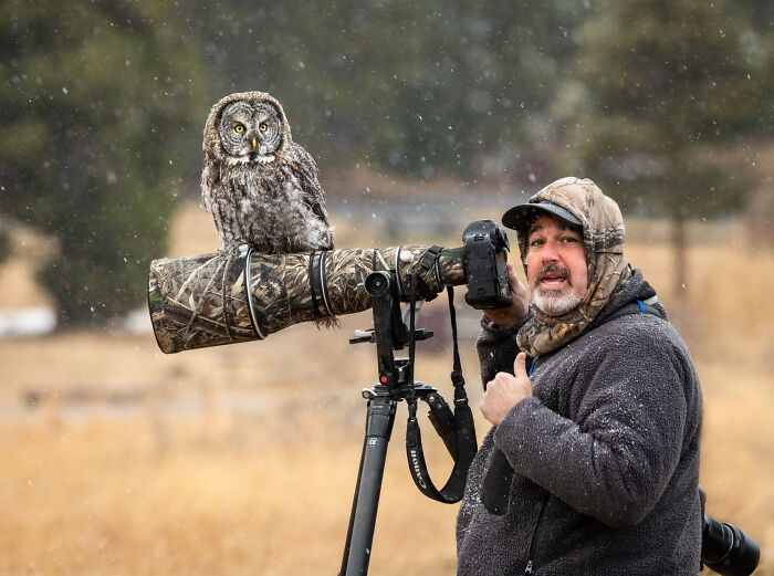 The truth behind these amazing Great Gray Owl photographs is a baited bird - perhaps not by these folks, but by someone. GGO (+ other owls) become very bold when fed - a practice widely condemned by birding and wildlife photog orgs.   https://www.boredpanda.com/owl-photographer-lens-head-wildlife-photography/