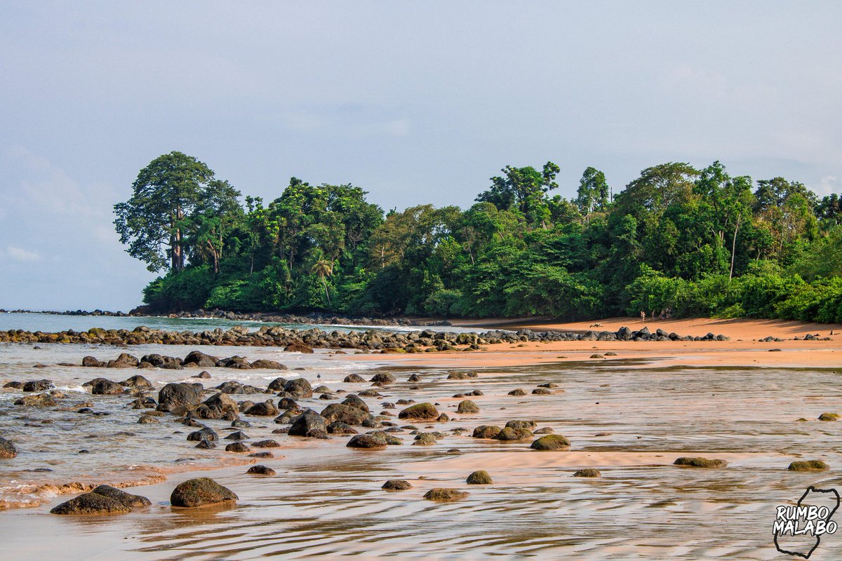 Get lost in a #beach where you would never want to come back!

Get lost in #EquatorialGuinea 🇬🇶💚❤️💙

#myafrica #newafrica #beachscapes