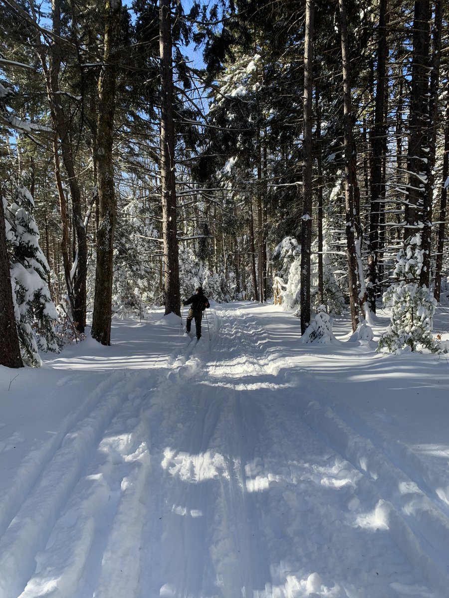 If anyone is curious how tolerable the vaccine is- I went cross-country skiing for 4 hours today so I would say it’s going great! Honestly, just some mild arm soreness at the injection site which is the same for the flu vaccine! 💉