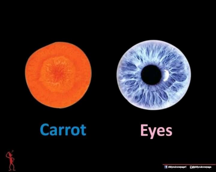 Coll3n21's tweet photo. *Did You Know*

Foods resembles the body parts they're good for. https://t.co/aW6FTtWPuG