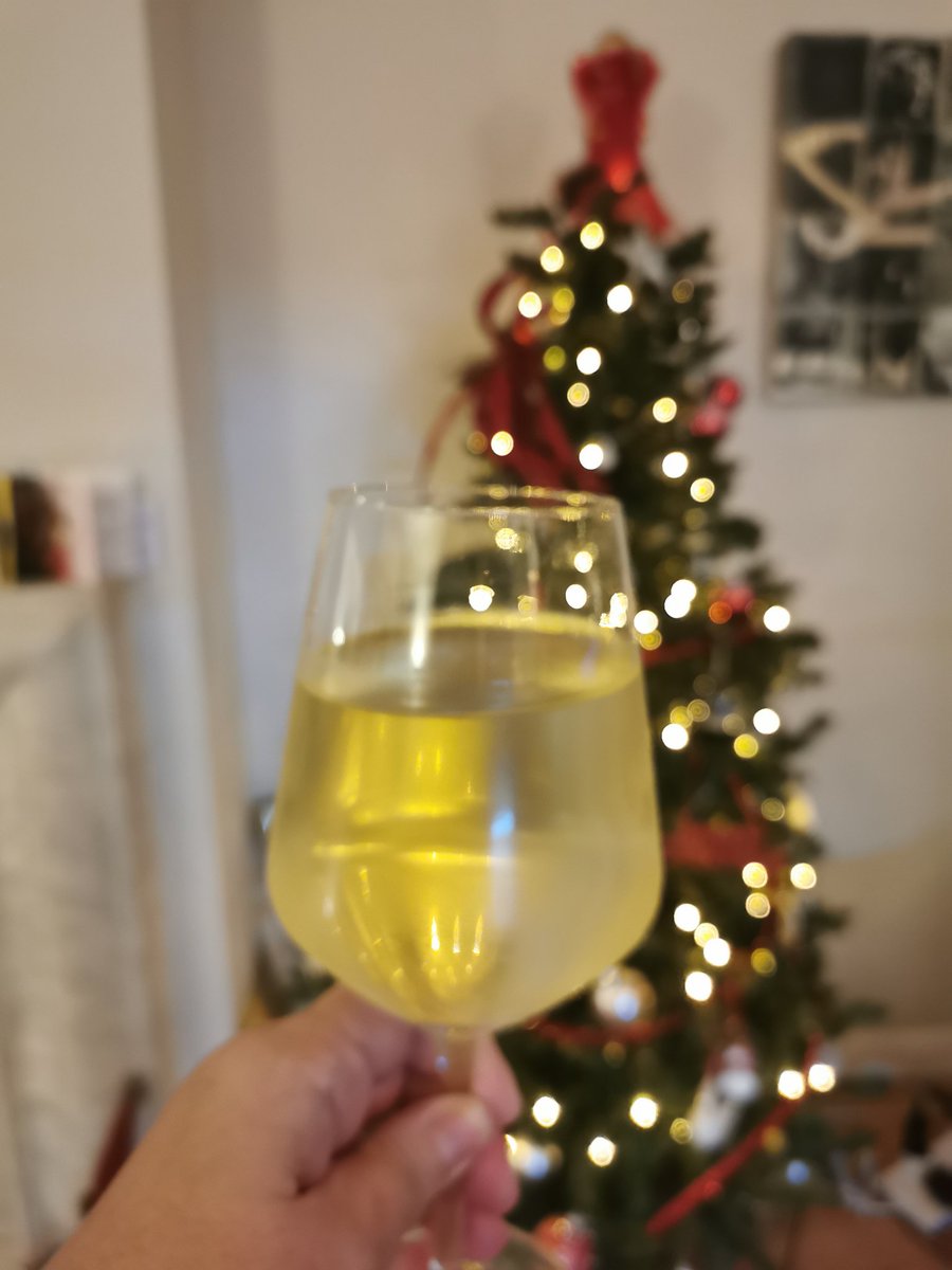 Tier 4 sized glass of Christmas wine 😦