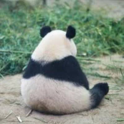 mrteqiula's tweet photo. @hasannucr mood https://t.co/YV4E9rLDJO