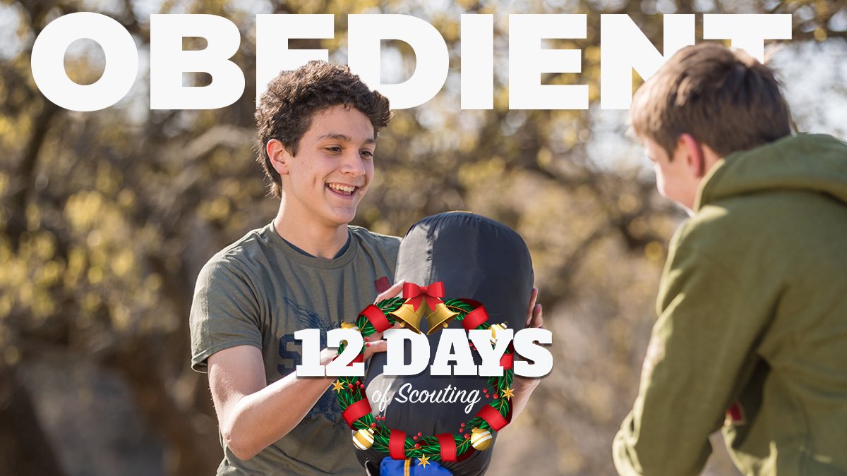 HOACBSA's tweet photo. A Scout is Obedient. Happy 12 Days of Scouting! #12daysofscouting https://t.co/h1ys3jBuhU