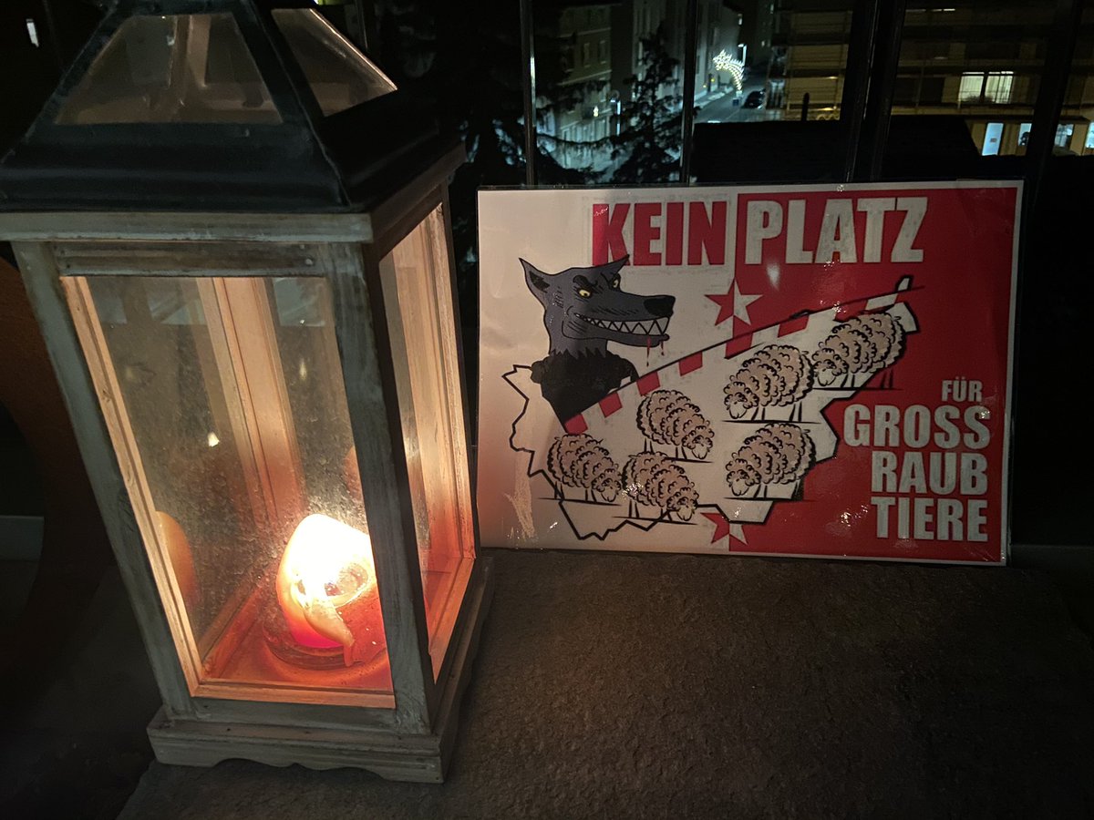 VSohne's tweet photo. #Europäische #Aktion zur #Unterstützung der #Weidetiere und für ein #aktives #Wolfmanagement im #Siedlungsgebiet
#VSohne https://t.co/zumNgdLjZ7