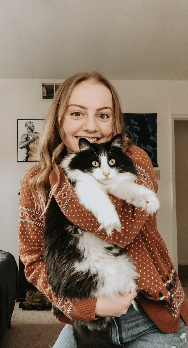 lizzycorbs's tweet photo. crazy cat lady😻 https://t.co/LrSOsSI9hA