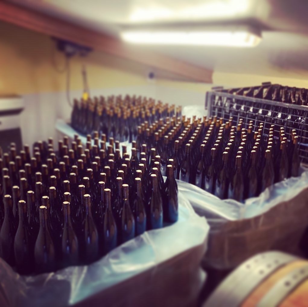 FincaMasPerdut's tweet photo. Dia de feina al celler. Avui hem embotellat una novetat 2020 i l’Endogen Negre 2019! Molt contents amb els resultats😜👌🏽 #masperdut #vinsambamor #santaoliva #baixpenedes #endogen #proximitat #alimentsdeprop #km0 https://t.co/RhnLd51Srz