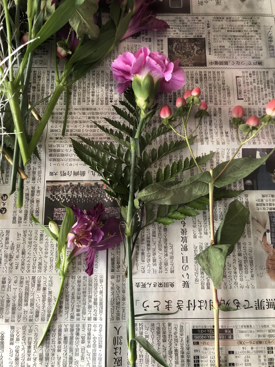 メグサン 日曜美術館を見ながら花の入れ替え クリスマス用アレンジメントを作り直します