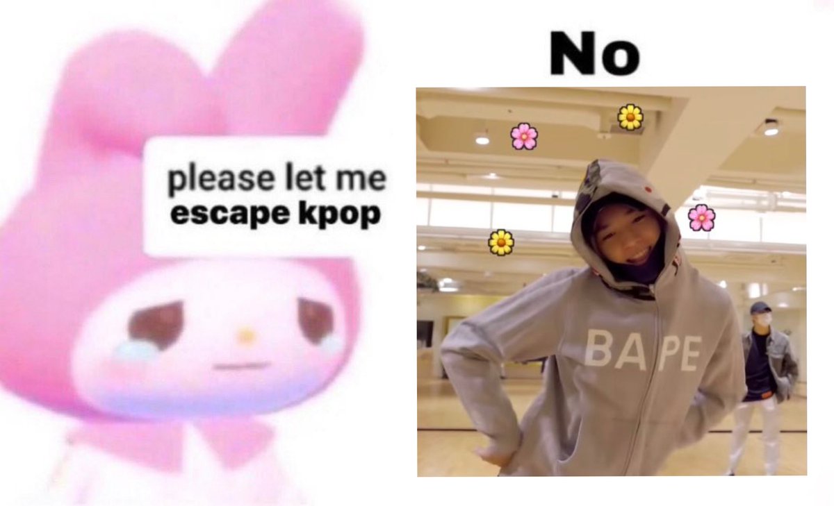 🌻🌹 tweet media