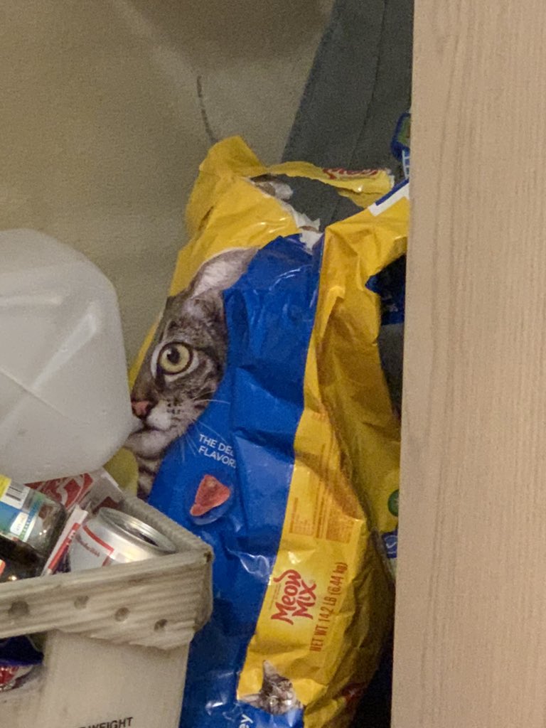 KeeperICT's tweet photo. Yo I looked at the cat food bag in my pantry just now and straight up thought my mf cat was in there starin at me https://t.co/eTXFV8P7Md