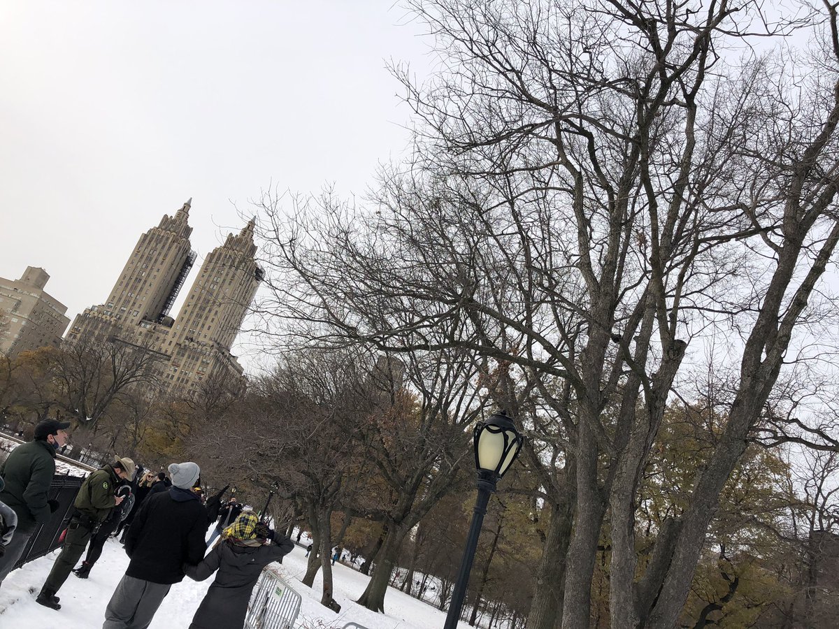 PicturesBirds's tweet photo. “Crowd Watching Bird” - 2020 
📸: @meg__shan https://t.co/f57XAH8mft